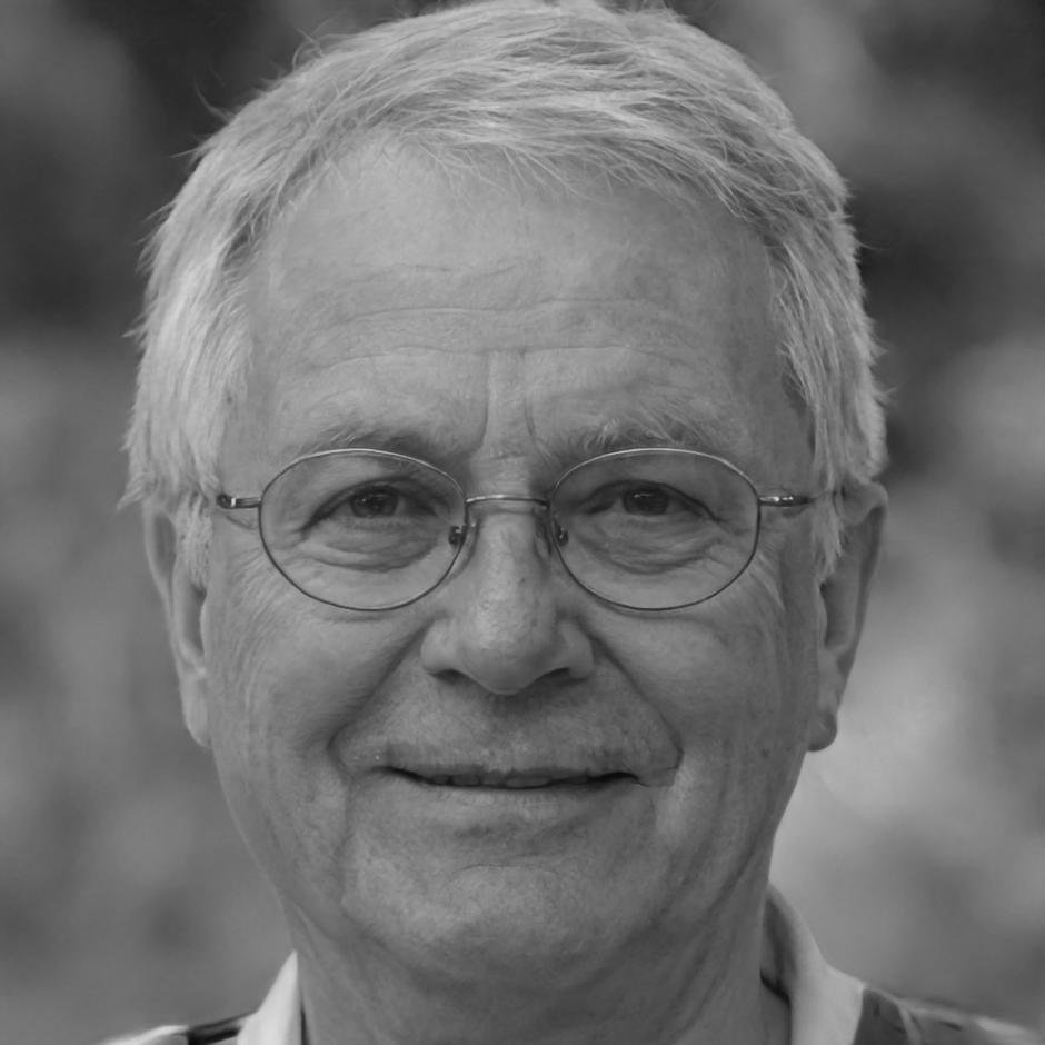 Lennart Bergström, Finanzanalyst und Workshop-Entwickler